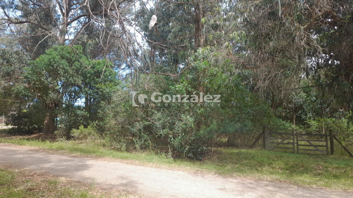 Terreno ID.763 - Terreno en Punta Negra U$S 45.000