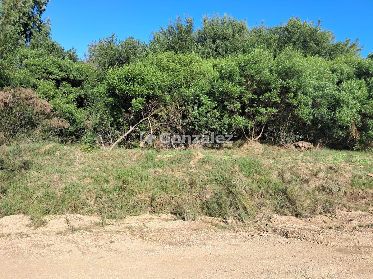 Piriápolis - GoPunta - Portal Inmobiliario de Punta del Este - Maldonado