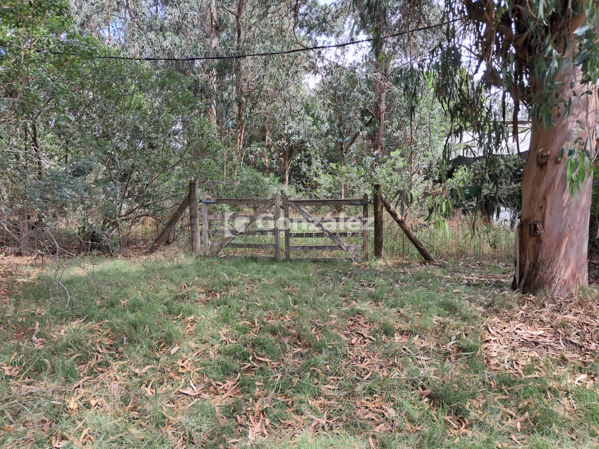 Terreno ID.763 - Terreno en Punta Negra U$S 45.000