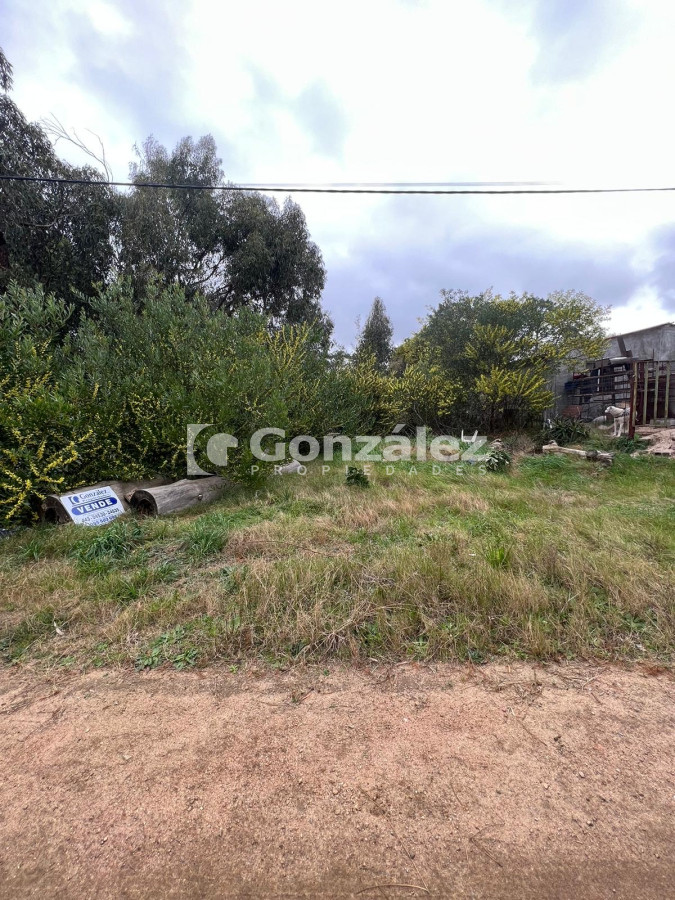 Terreno ID.636 - Terreno en Cuchilla Alta