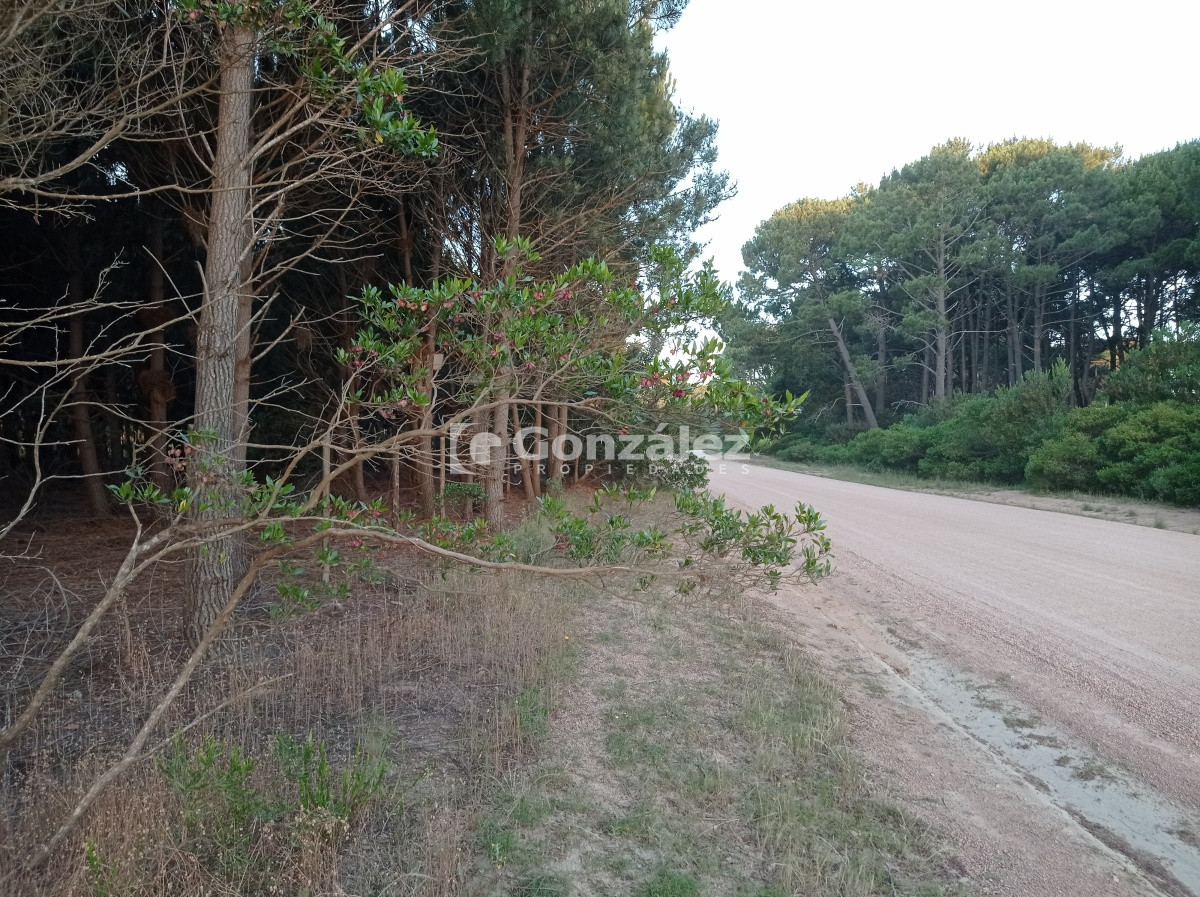 Terreno ID.503 - Terreno de Grandes Dimensiones con costa arroyo en Chihuahua