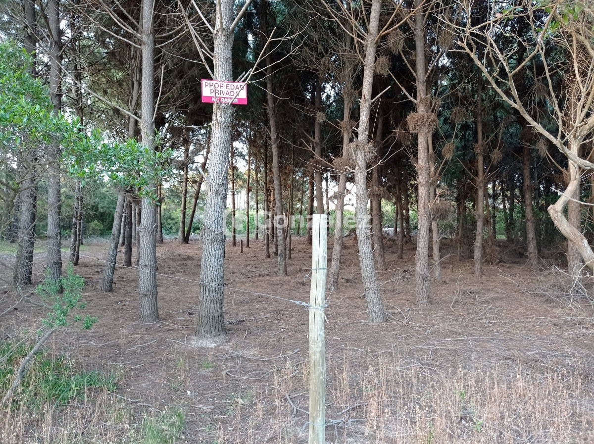 Terreno ID.503 - Terreno de Grandes Dimensiones con costa arroyo en Chihuahua