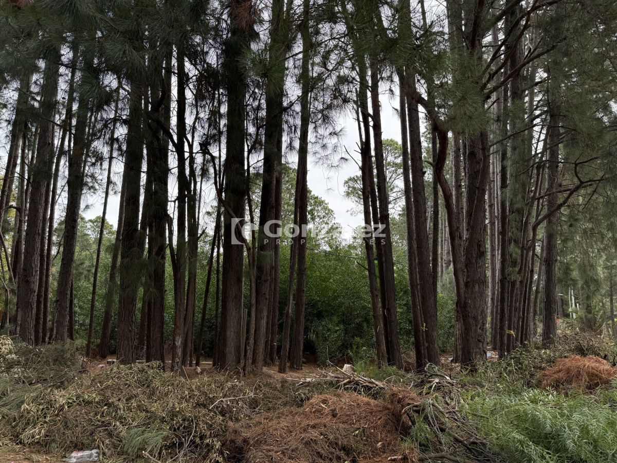 Terreno ID.797 - Terreno en venta Piriápolis Barrio Los Ángeles