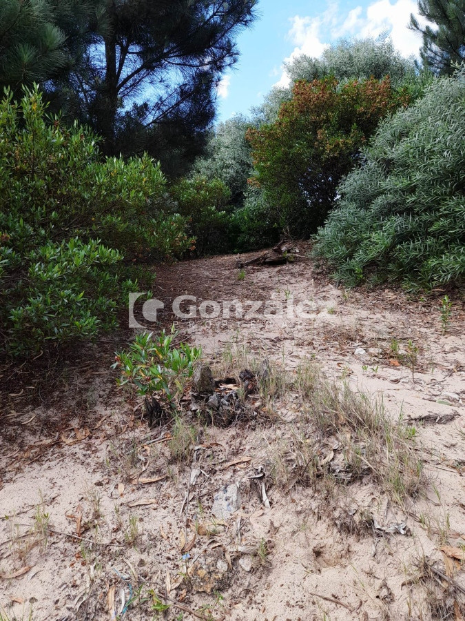 Terreno ID.706 - Terreno en Barrio Country