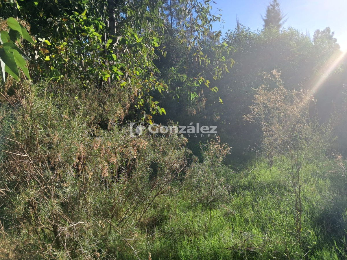 Terreno ID.786 - Terreno en venta Playa Verde Piriápolis 