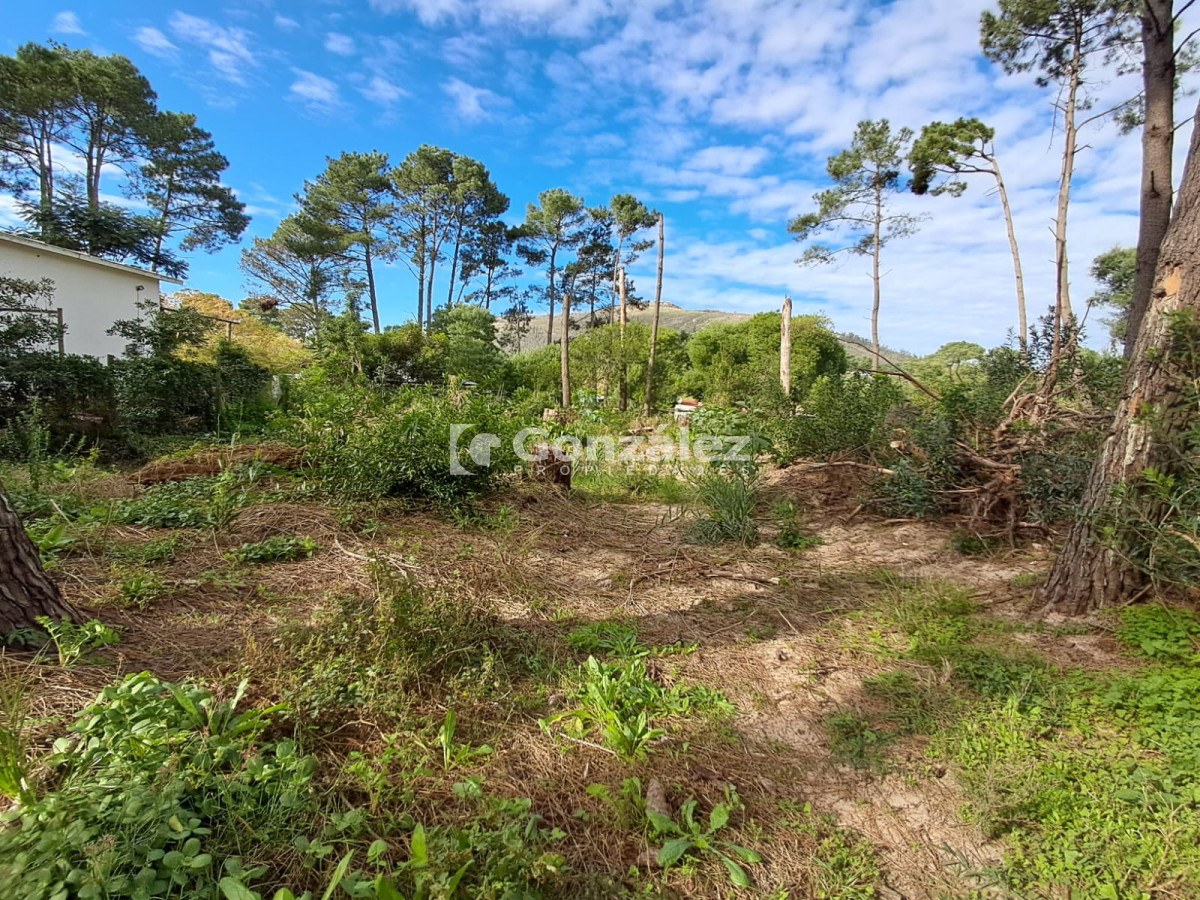 Terreno ID.729 - Terreno a la venta en Barrio Country