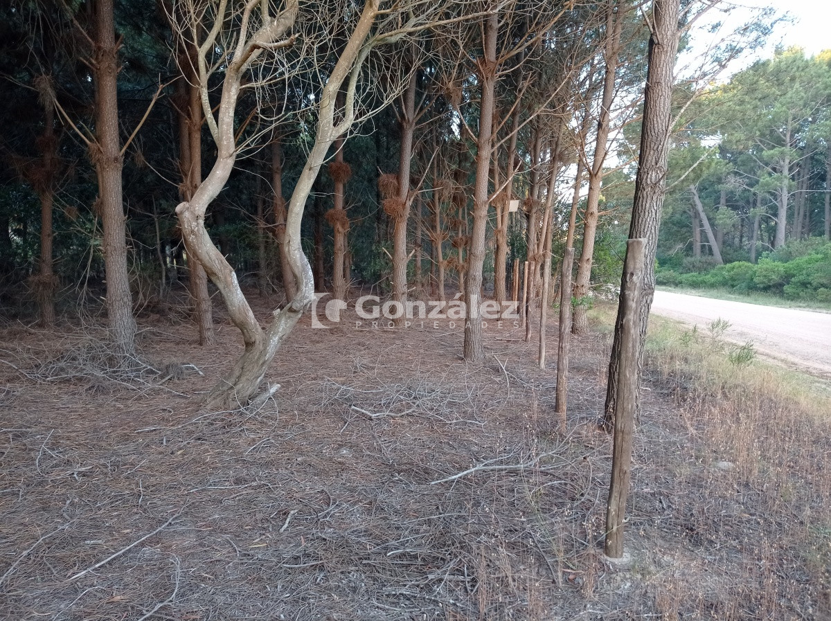 Terreno ID.503 - Terreno de Grandes Dimensiones con costa arroyo en Chihuahua