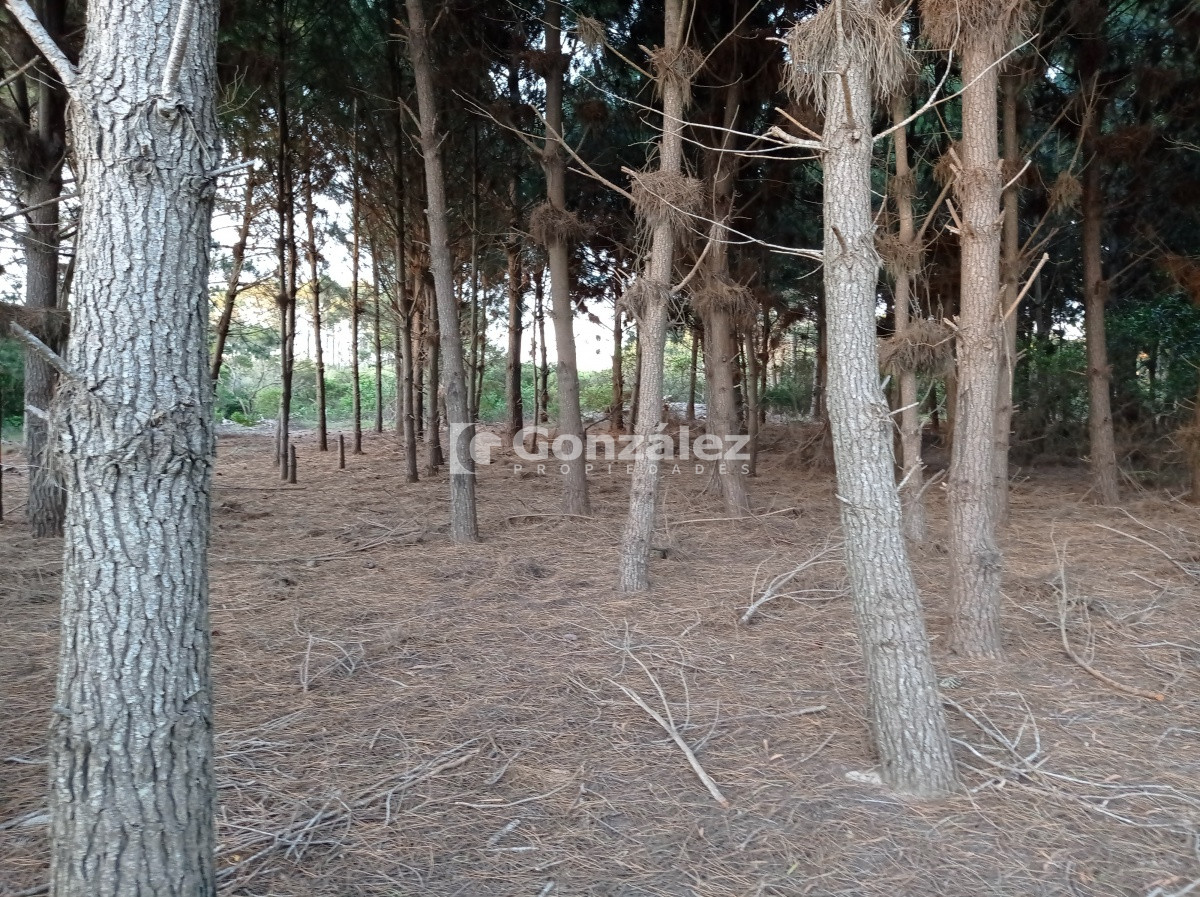 Terreno ID.503 - Terreno de Grandes Dimensiones con costa arroyo en Chihuahua