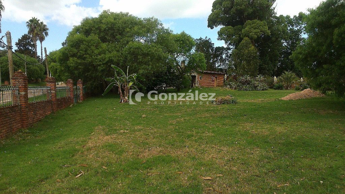 Terreno ID.437 - Cl. Artigas y Maldonado