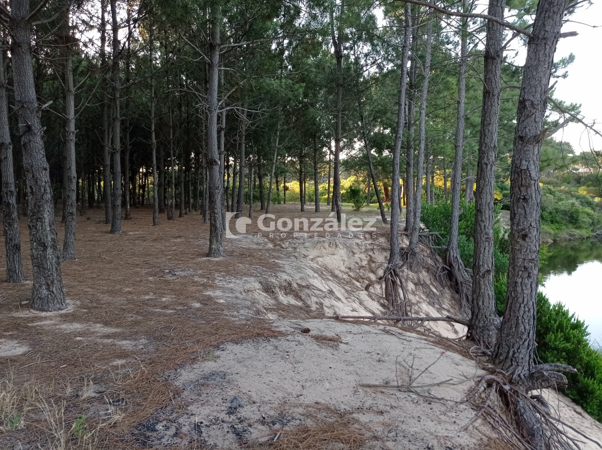 Terreno ID.503 - Terreno de Grandes Dimensiones con costa arroyo en Chihuahua