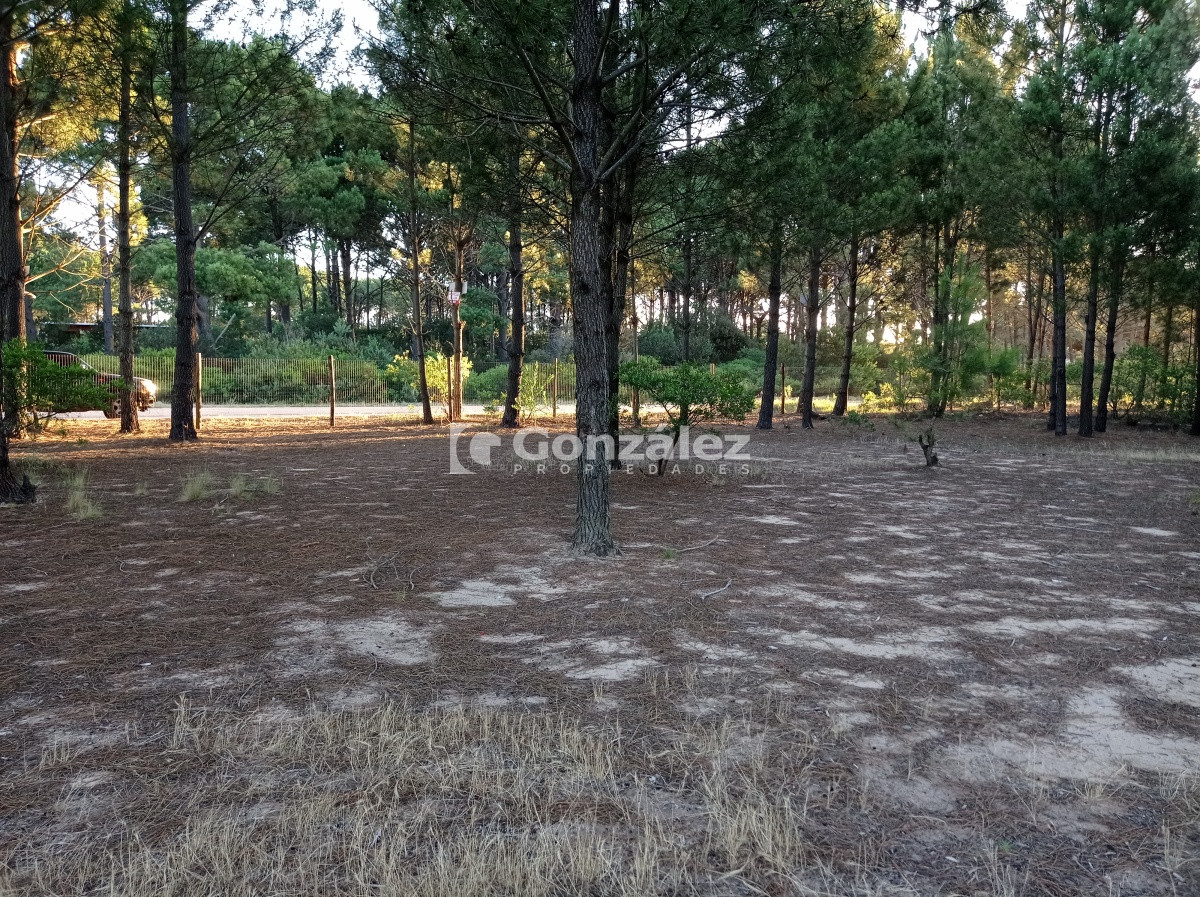 Terreno ID.503 - Terreno de Grandes Dimensiones con costa arroyo en Chihuahua