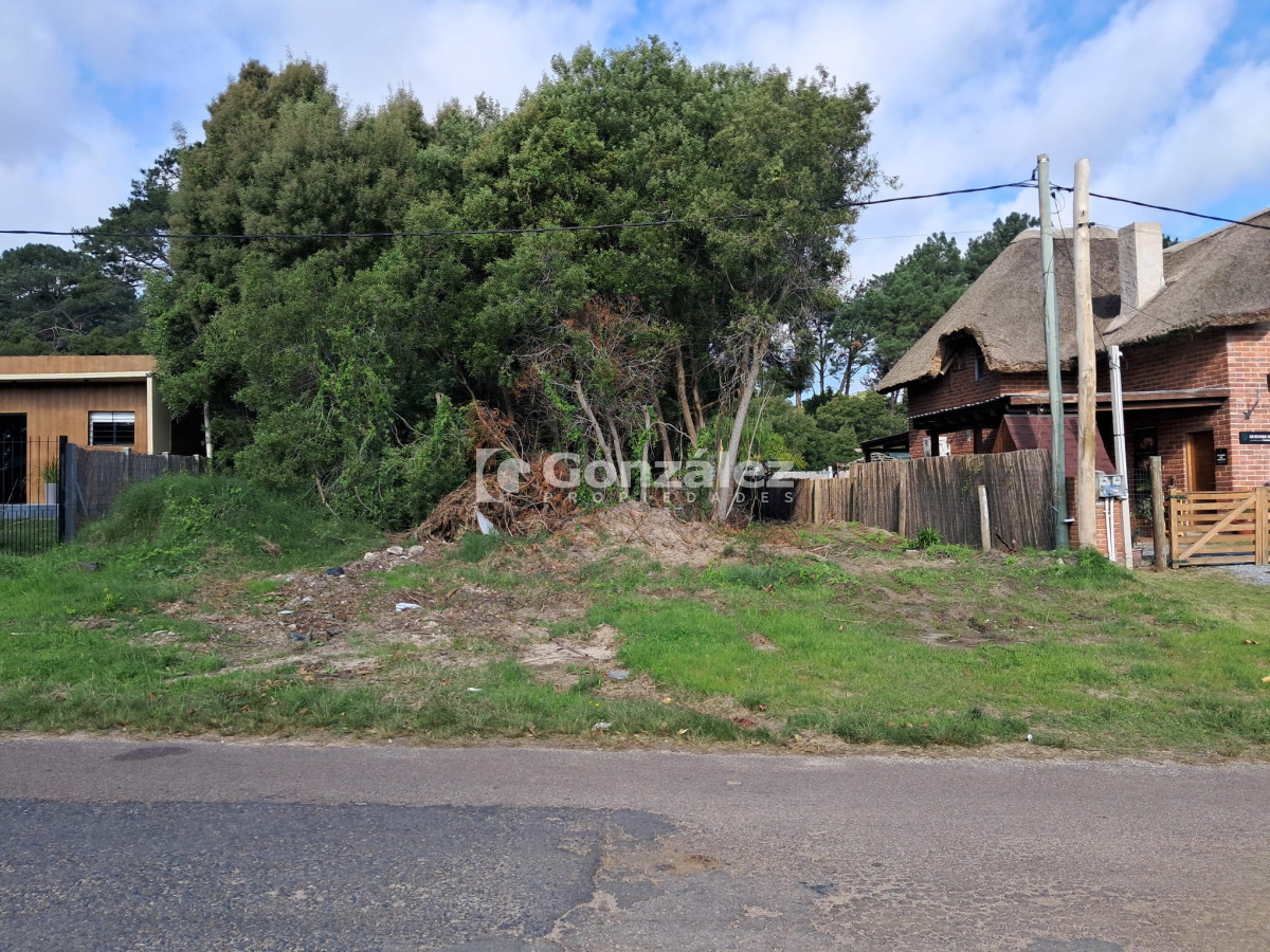 Country - GoPunta - Portal Inmobiliario de Punta del Este - Maldonado