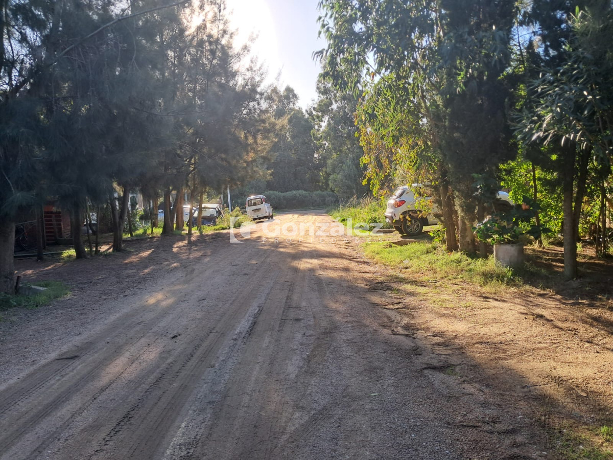 Playa Verde - GoPunta - Portal Inmobiliario de Punta del Este - Maldonado