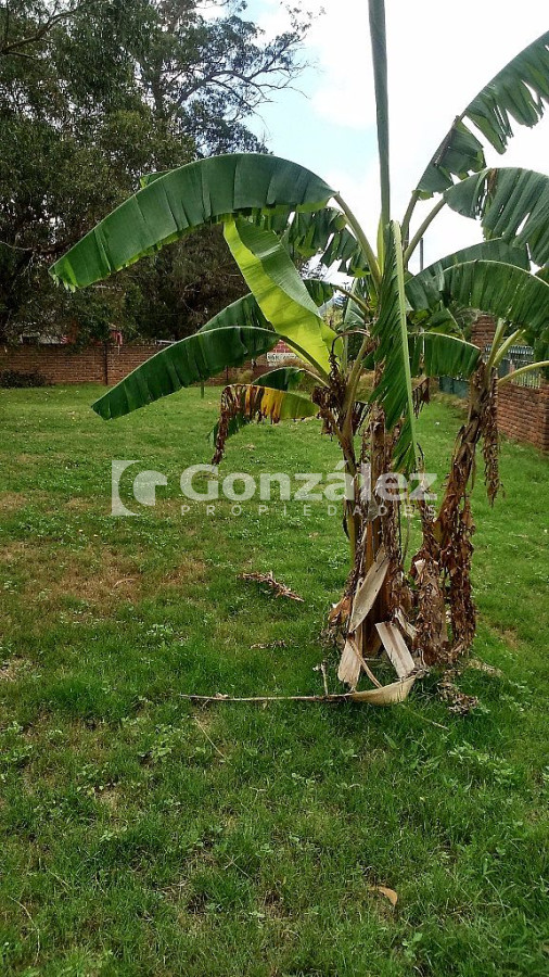 Terreno ID.437 - Cl. Artigas y Maldonado