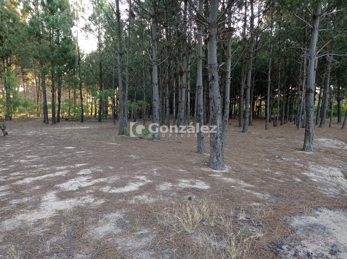 Terreno ID.503 - Terreno de Grandes Dimensiones con costa arroyo en Chihuahua