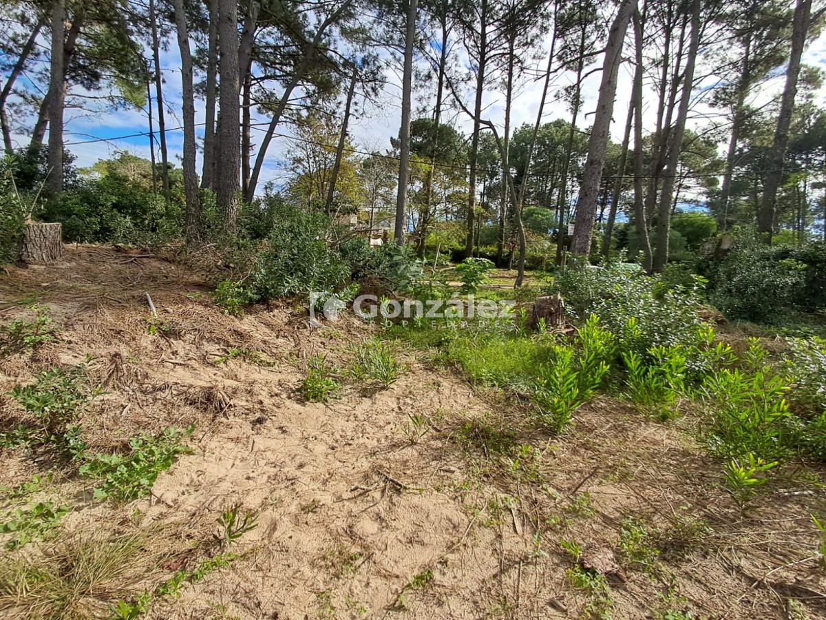 Terreno ID.729 - Terreno a la venta en Barrio Country