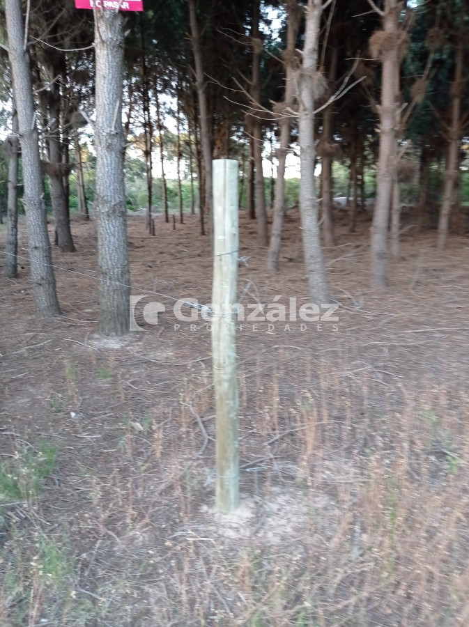 Terreno ID.503 - Terreno de Grandes Dimensiones con costa arroyo en Chihuahua