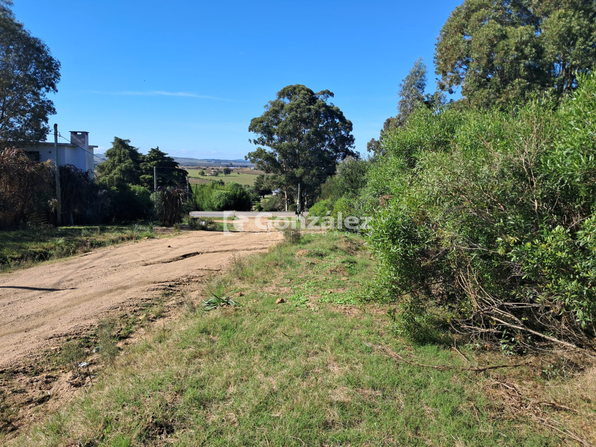 Piriápolis - GoPunta - Portal Inmobiliario de Punta del Este - Maldonado