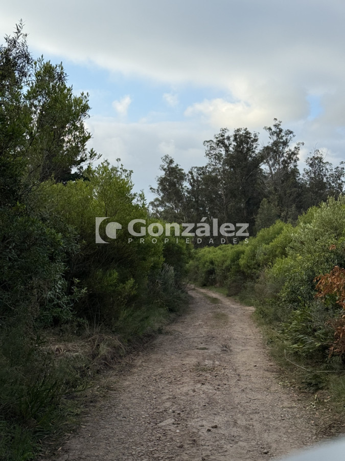Terreno ID.673 - Oportunidad terrenos en Playa Hermosa