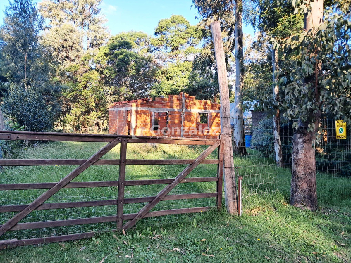 Sauce de Portezuelo - GoPunta - Portal Inmobiliario de Punta del Este - Maldonado