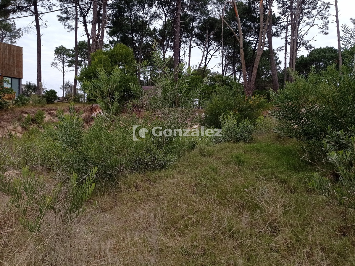 Terreno ID.531 - TERRENO EN CHIHUAHUA.