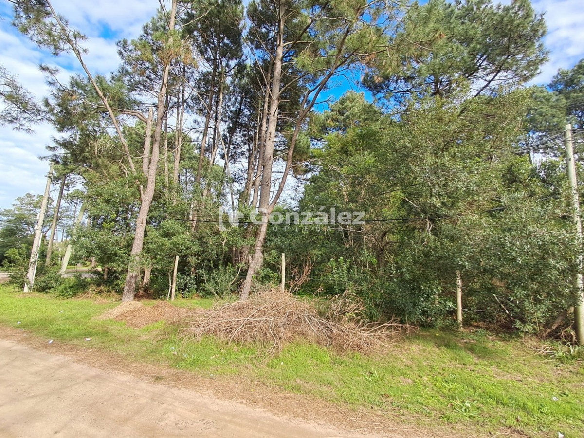 Terreno ID.728 - Terreno en Barrio Country Piriápolis