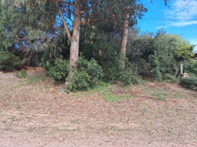 Terreno en Barrio Country