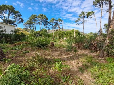 Terreno a la venta en Barrio Country