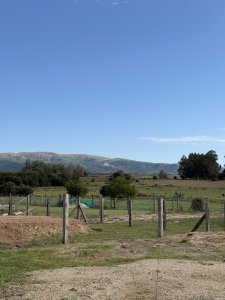 Terreno en venta km110 Pan De Azúcar