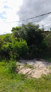 Oportunidad terrenos en Playa Hermosa
