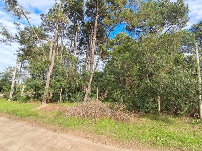 Terreno en Barrio Country Piriápolis