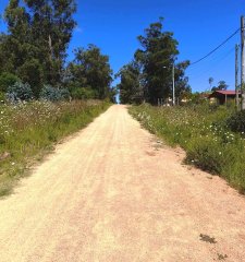 Terreno en venta detrás de la Iglesia de Piria