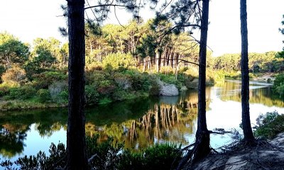 Terreno de Grandes Dimensiones con costa arroyo en Chihuahua