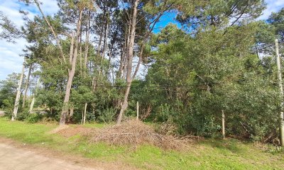 Terreno en Barrio Country Piriápolis