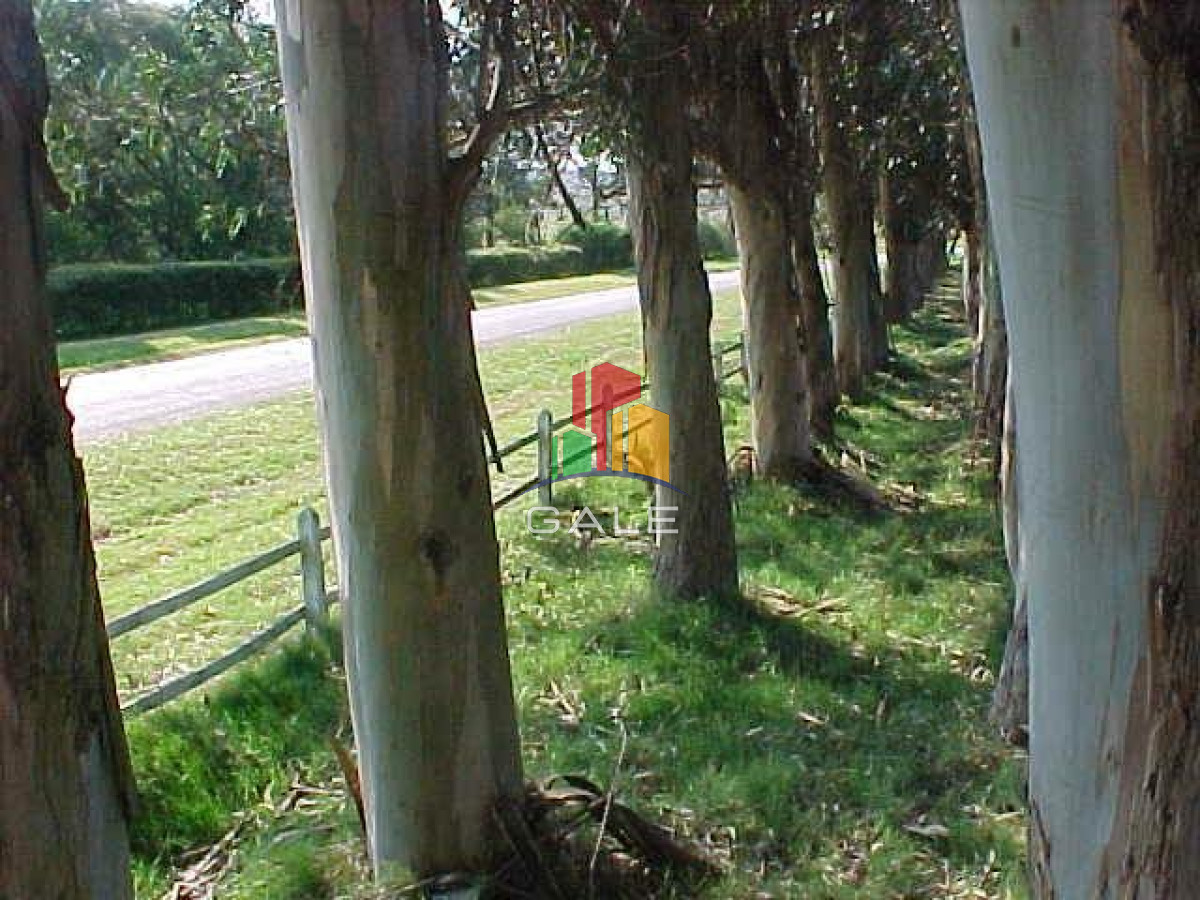 Terreno ID.4514 - BARRA NORTE LOTES