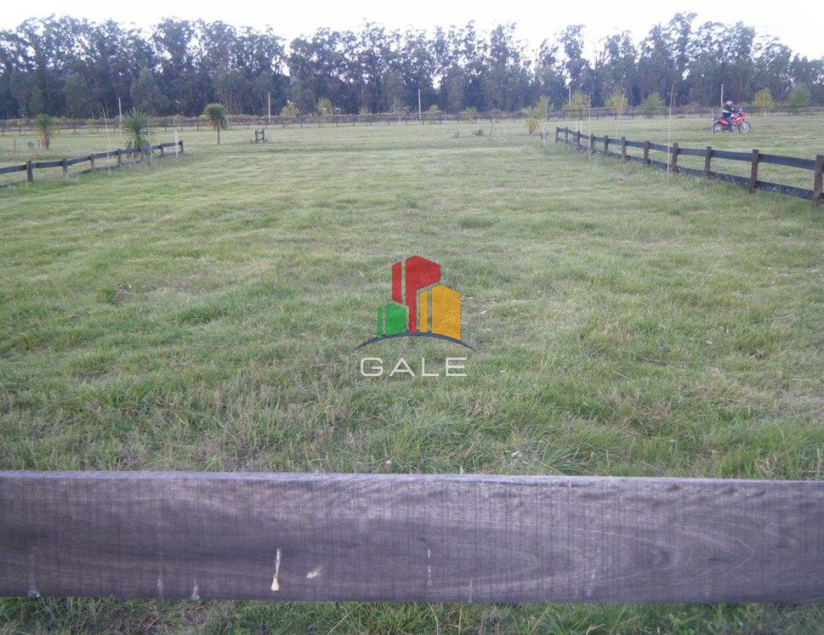 Terreno ID.4514 - BARRA NORTE LOTES