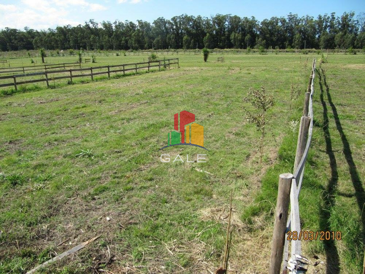 Terreno ID.4514 - BARRA NORTE LOTES