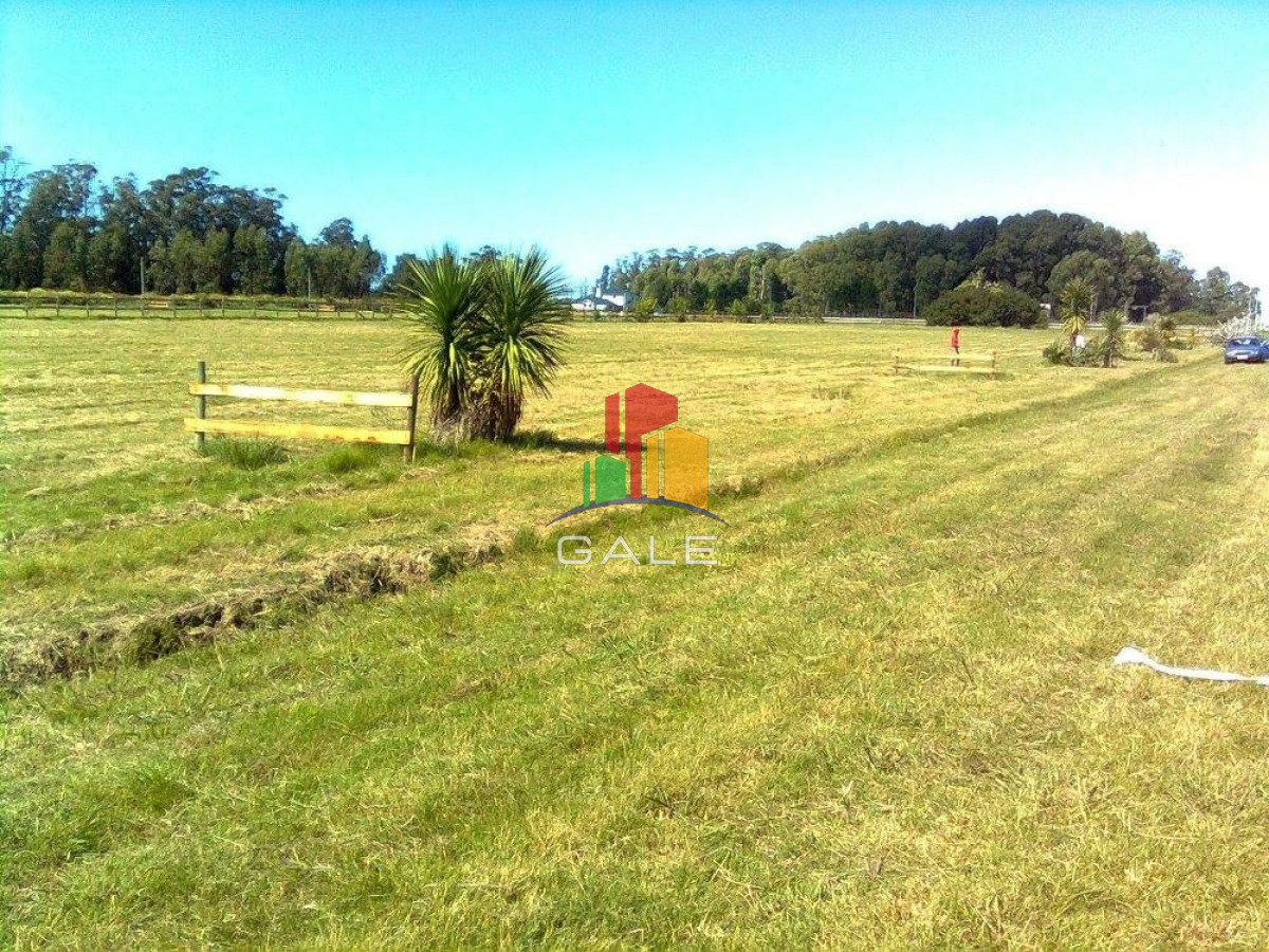 Terreno ID.4514 - BARRA NORTE LOTES