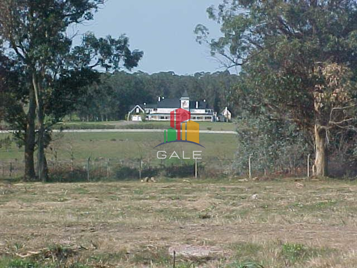 Terreno ID.4514 - BARRA NORTE LOTES