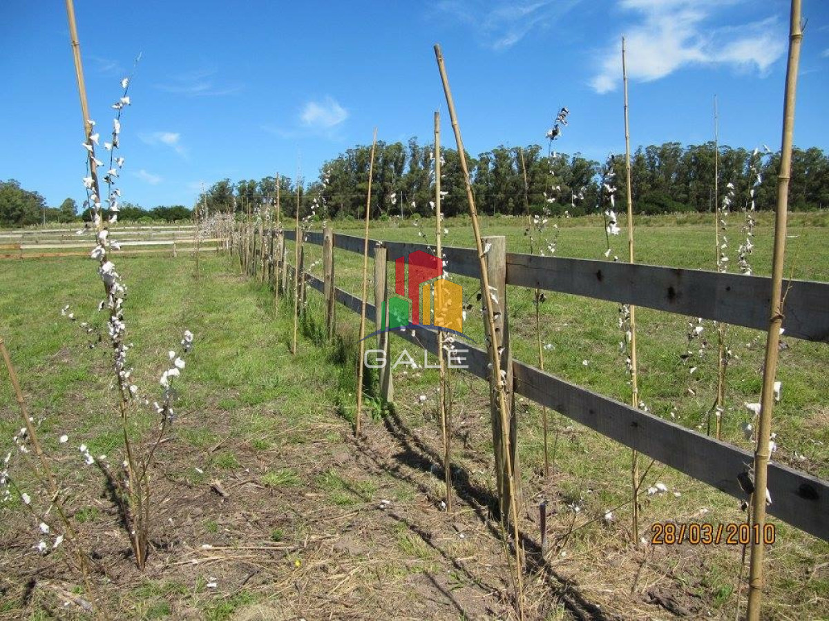 Terreno ID.4514 - BARRA NORTE LOTES