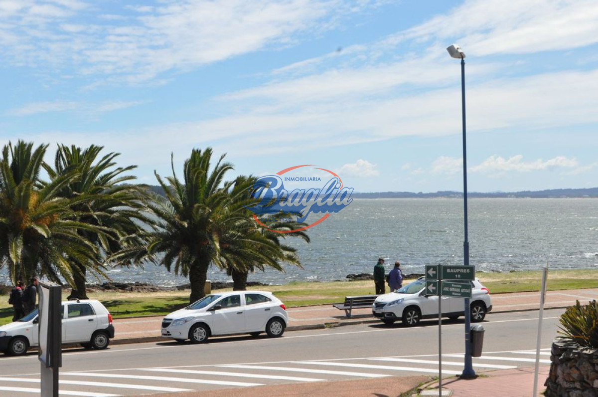 Península - GoPunta - Portal Inmobiliario de Punta del Este - Maldonado