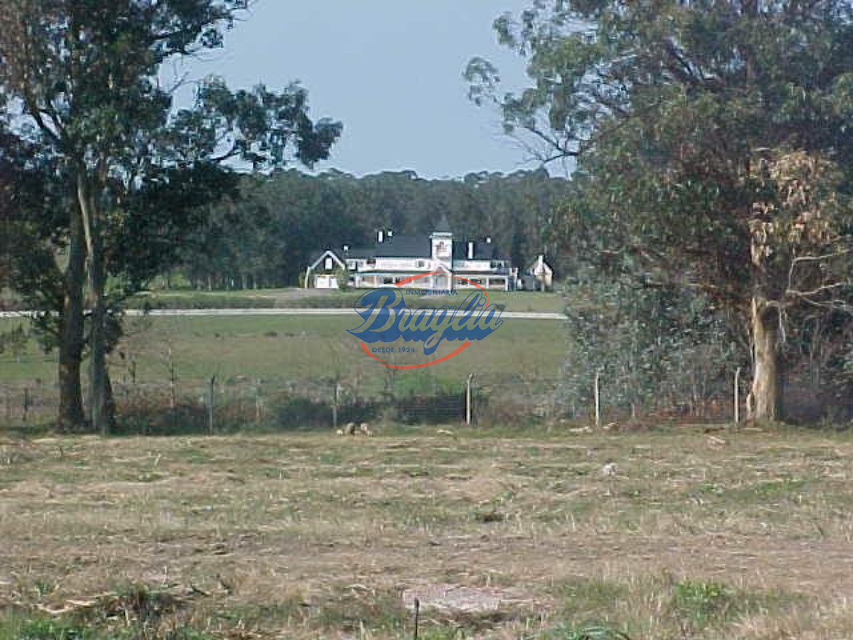 El Tesoro - GoPunta - Portal Inmobiliario de Punta del Este - Maldonado