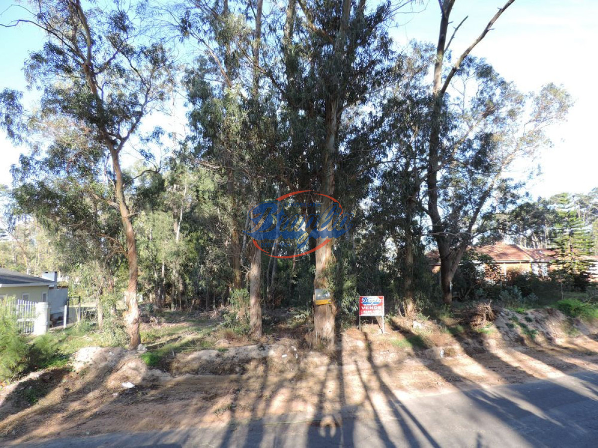 Jardines de Córdoba - GoPunta - Portal Inmobiliario de Punta del Este - Maldonado