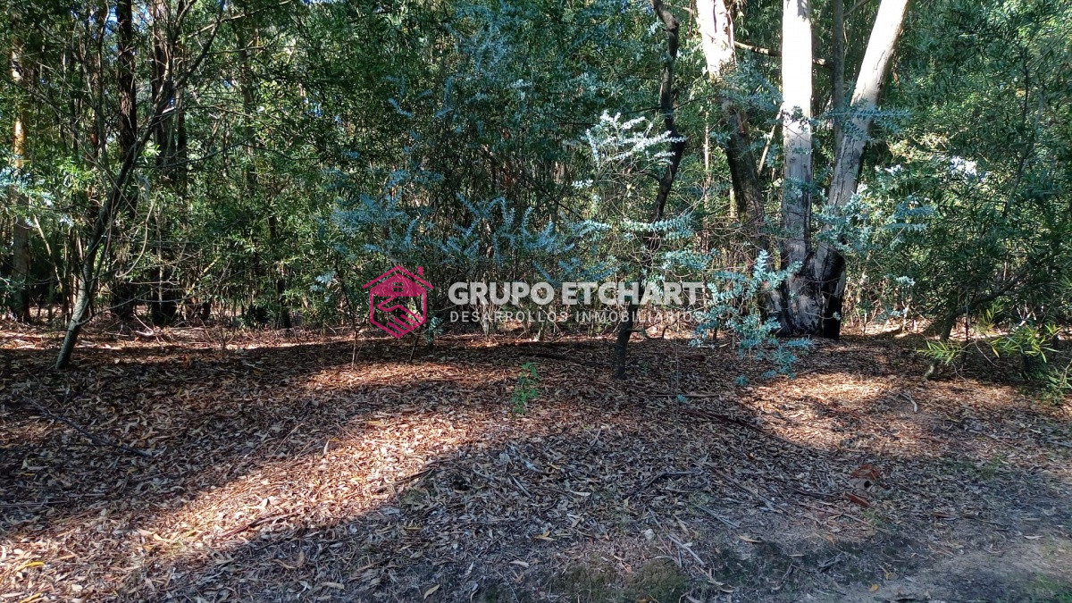 Terreno ID.3 - Excelente Lote Financiado 50 % en  24 sin  intereses 