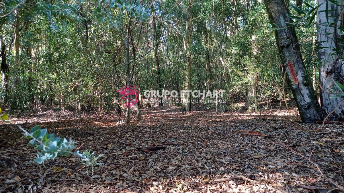 Terreno ID.3 - Excelente Lote Financiado 50 % en  24 sin  intereses 