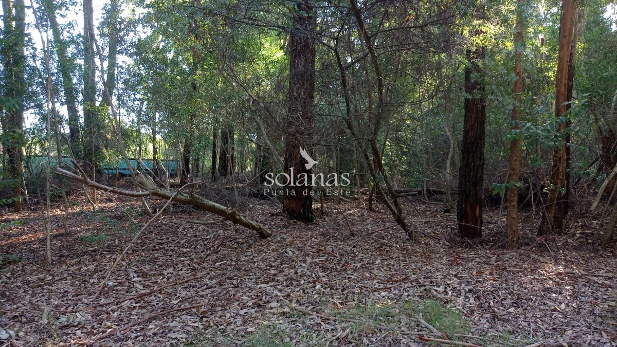 Terreno ID.68 - Terreno en Punta Ballena, Design Village
