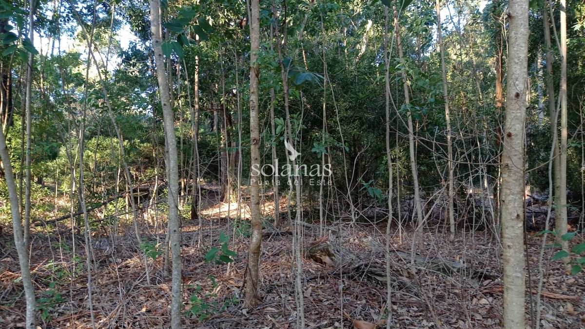 Terreno ID.80 - Lote en venta!! 100% Financiado por Grupo Solanas!!