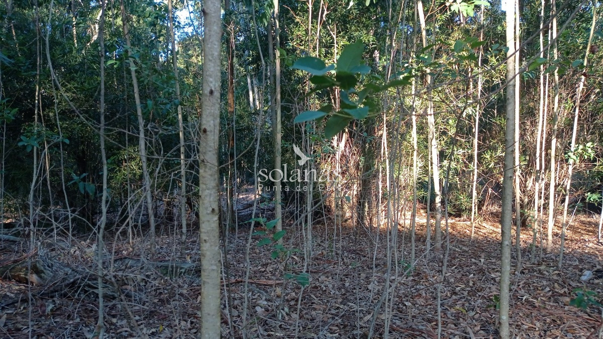Terreno ID.80 - Lote en venta!! 100% Financiado por Grupo Solanas!!