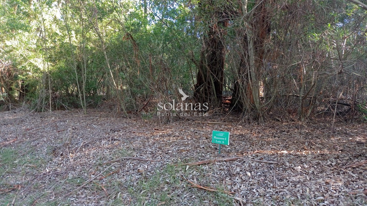 Terreno ID.68 - Terreno en Punta Ballena, Design Village