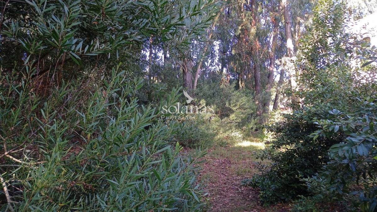Terreno ID.65 - Excelente Lote 